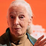 jane goodall todesursache
