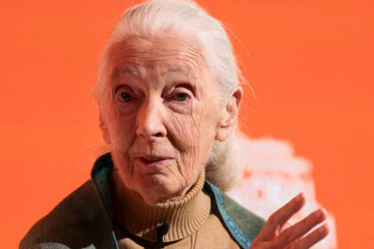 jane goodall todesursache